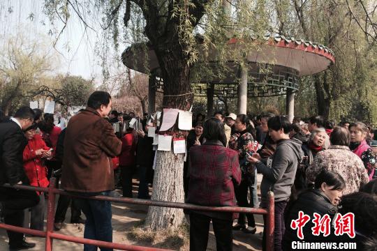 �ϲ��F(xi��n)����ĸ�����H���������ң�����߀���H�Գ��R���D��