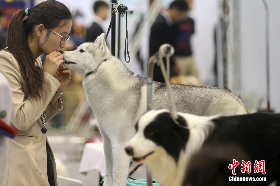 �������ˡ��R���Ͼ� ���_(t��i)���n��