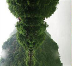 �ɶ�һ��W(xu��)����üɽ���� ����