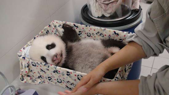 ٛ�_����؈�F�F�^���﹝(ji��)����Ů��������˼