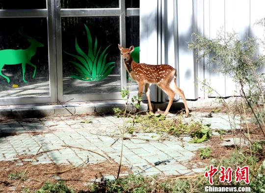 �_ٛ(z��ng)���÷��¹����̥¹�����M��ȡ�������족