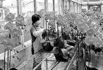 �}�r(n��ng)�I(y��)��(sh��)�H�����_(t��i)�Y��20�|��Ԫ�Ӵ����λ