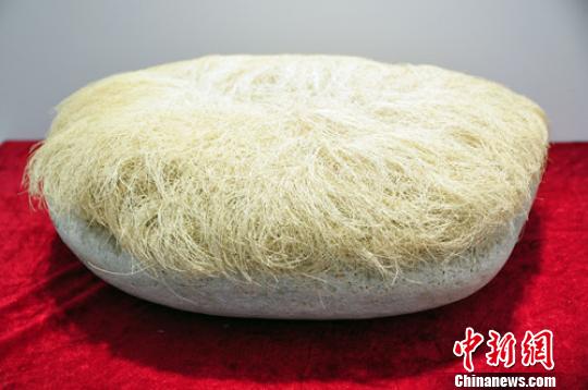 隕石化石“菜系”河北展出臺(tái)灣“生發(fā)石”受關(guān)注