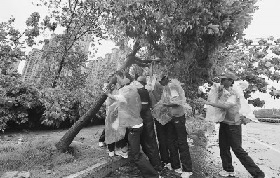 ��(d��ng)�ɰ��������ˡ��K���_��ͬ��Ԯ���R�Ȟ�(z��i)���D��