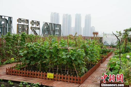 �����ߘǘ��?sh��)ġ��˵ء��Nֲ�˲��ٕr(sh��)�ߡ����O��(qu��n) �z