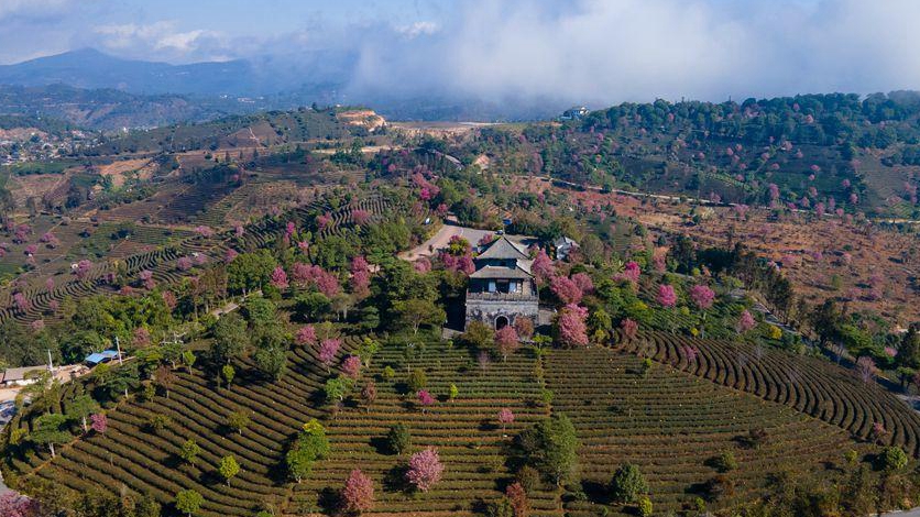 �����ն�������ʢ�_ ����̼t