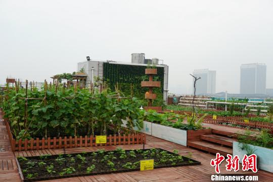 ����r����Ч�������˴�B����������O�� �z