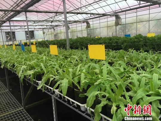 �㽭��(y��u)����(du��)�_(t��i)�����(w��)500�|���Y�����~�ȴل�(chu��ng)�°l(f��)չ