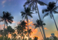 ȫ���_(t��i)��(li��n)��(hu��)�L���������V�������п���