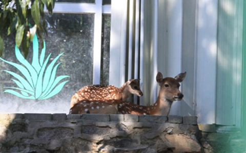 �_(t��i)��ٛ(z��ng)�ʹ��÷��¹���c(di��n)�c(di��n)�����Q����