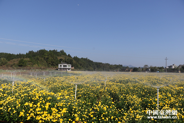 ��ؚ܇�g�����ܶ�ؚ�����ڼ��T�ھ͘I(y��)�����Ї�(gu��)�_(t��i)���W(w��ng) � �z��