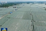 �҇���Ҫ�r(n��ng)�a(ch��n)Ʒ�O(ji��n)�y�ϸ��ʄ�(chu��ng)�vʷ�¸�