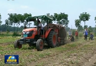 ���r�� ������ ��ƪ�¡�ץ���c �a�̰� �Ƅ��l(xi��ng)��ȫ�����d