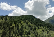 ��Óؚ����(ji��n)���Є�(d��ng)�����C�r(n��ng)��ĸ�:����"������(j��ng)��(j��)"IP ��(sh��)�F(xi��n)����ͬ��ԣ