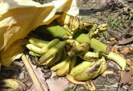 �_(t��i)���㽶