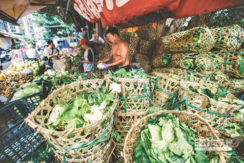 �_(t��i)���r(n��ng)�a(ch��n)�l�������²˃r(ji��)���P ���M(j��n)�h���Gɫ��(zh��)�������r(n��ng)���ܺ����C