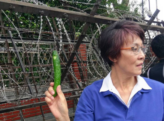 民進黨打造“臺灣最美風景”:拒馬刀片蛇籠鐵門加厚3層 民進黨打造“臺灣最美風景”:拒馬刀片蛇籠鐵門加厚3層