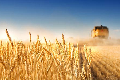 ����(sh��)�̱�����֮Ҫ���^�m(x��)��ȫ��pؚ����Ҫؕ�I(xi��n)