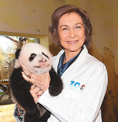 西班牙王后索菲亞到馬德里動(dòng)物園看望大熊貓“星寶” 西班牙王后索菲亞到馬德里動(dòng)物園看望大熊貓“星寶”