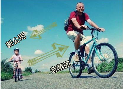 盤點互聯(lián)網(wǎng)公司的“電影基因工程” 盤點互聯(lián)網(wǎng)公司的“電影基因工程”