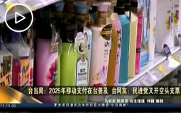 �_��(d��ng)�֣�2025���Ƅ�֧�����_�ռ� �_�W(w��ng)�ѣ����M(j��n)�h���_���^֧Ʊ