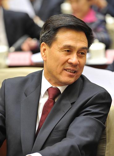 國(guó)家民委主任楊晶