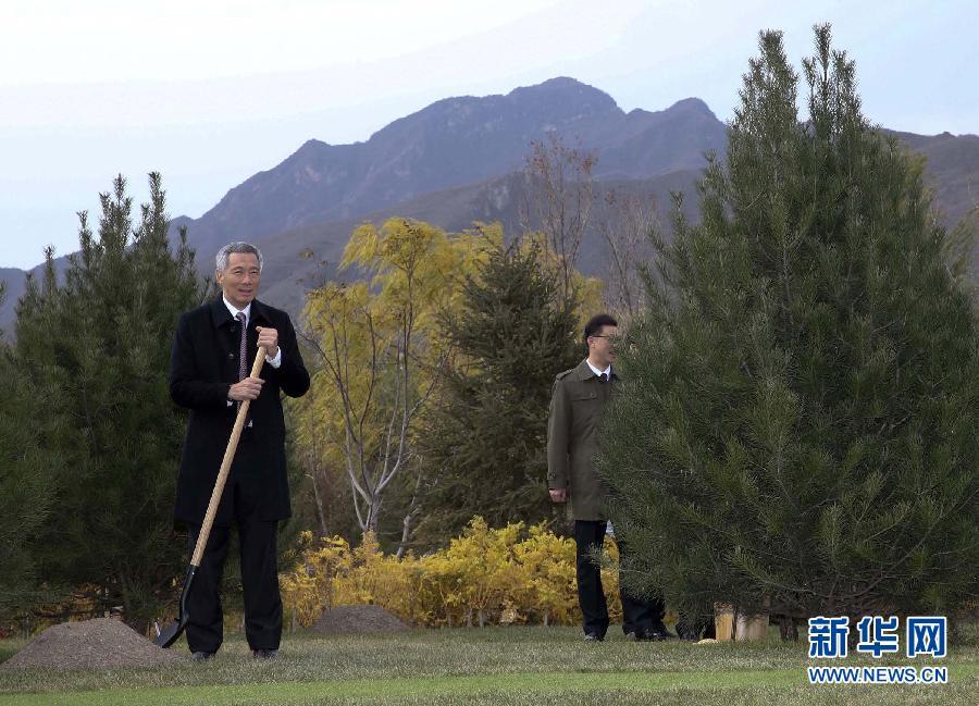 ��(x��)��ƽ�cAPEC�I(l��ng)��(d��o)�ˡ�������ֲ�����