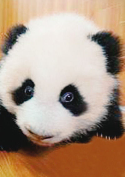 �_�����͡�ʧ�Լ�����ʲô�r���f��������Ԓ��