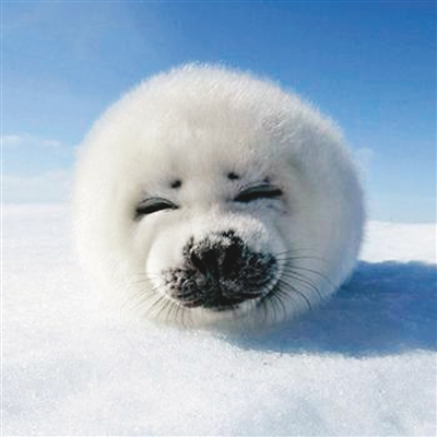 �_�����͡�ʧ�Լ�����ʲô�r���f��������Ԓ��