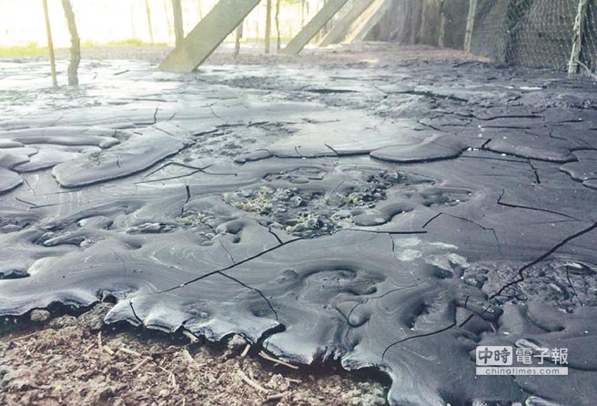 �`�¹��S10�����ᄻ��(z��i) �û��h�����]�X��