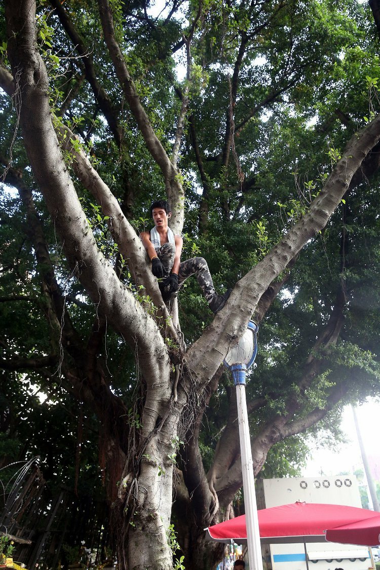 "����"������(l��)�y������ʿ���·�^(gu��)"������" Ҏ(gu��)��W(xu��)��