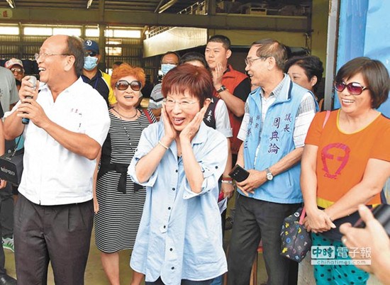 洪秀柱接受臺媒專訪:政策明確一定會逆轉勝