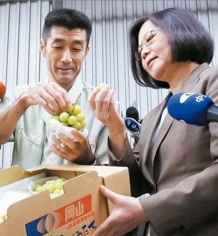 臺灣“大選”前100天蔡英文:團(tuán)隊(duì)都準(zhǔn)備好了