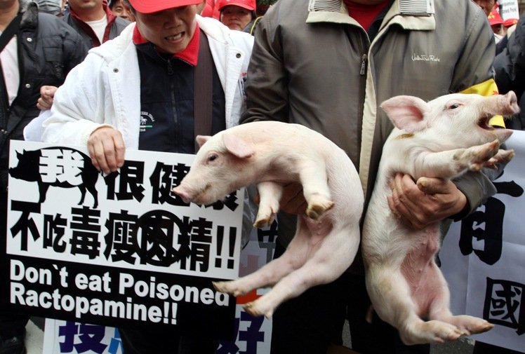 ���M(j��n)�h���������p�_���F(tu��n) ��Ӣ�ĺ�Ԯ��(hu��)����