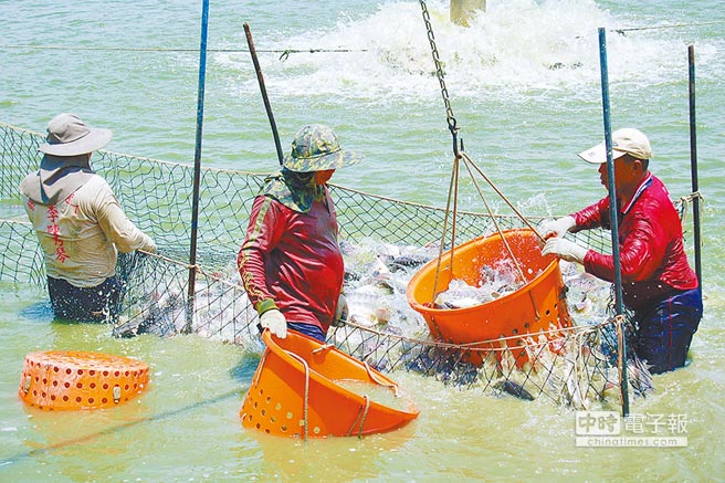 �������桰���С� �_�r(n��ng)�O�I(y��)���G�I�s�M���^