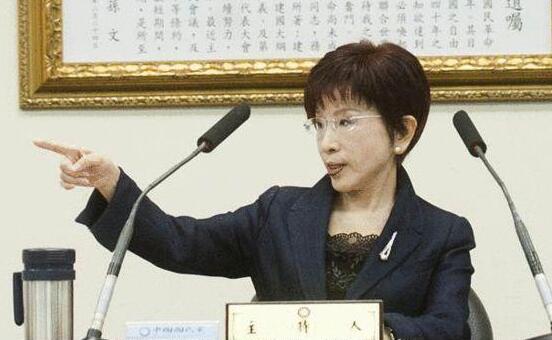 國民黨主席洪秀柱 國民黨主席洪秀柱