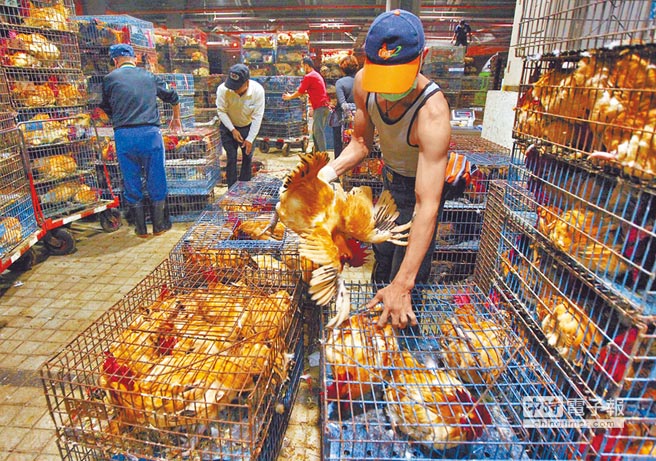 �_���֡��rί����ί�����t16��������17����r��ȫ�_���ݽ��׽��\7�������҃���B(y��ng)��ֱ���͵����׈����׵İ����u��1���g���r�u���ڴ���