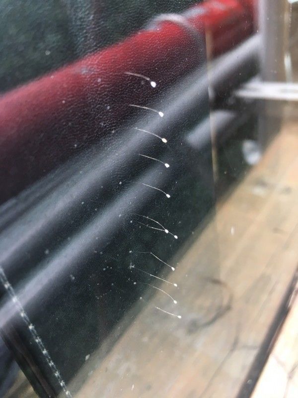 �_(t��i)�������ΌW(xu��):�Օ��в�Ӣ���I(l��ng)��(d��o)�� �����Q�RӢ������