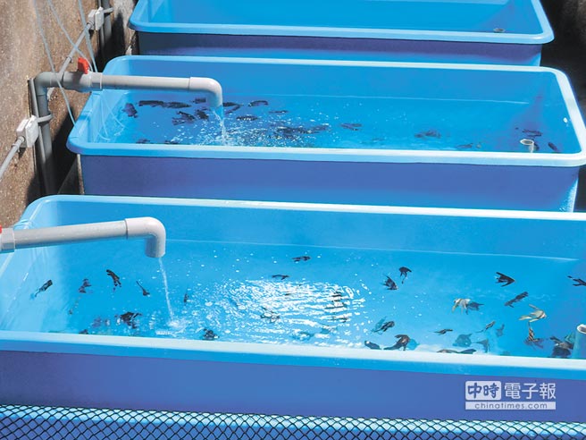 �_(t��i)܊܊Ş�а����J���`�s��5�|�J���ֻ�Q1���~(y��)�����DƬ��(l��i)Դ���_(t��i)�����Еr(sh��)��ӈ�(b��o)����