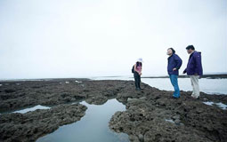 �_�W(w��ng)�Ѱǲ�Ӣ���f��ʹ�����^����������Խ�r�յĴ�Ę