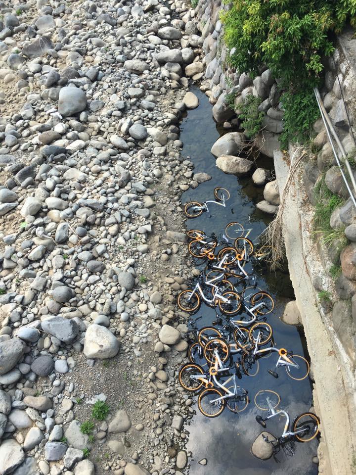 ȫ�_(t��i)ֻ��һ�ҵĹ����܇��Ű�K��Ҫ�����Ҫ����