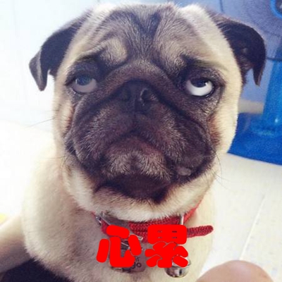 �_���������[����ӭ�����D(zhu��n)��� �̮�(d��ng)�֞顰ȥ�С��̉����pһ��