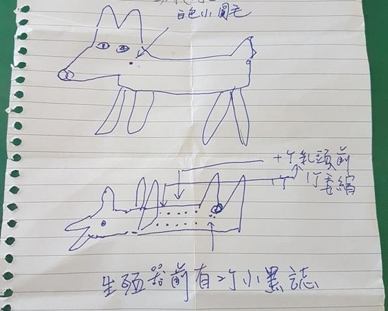 �������@��3�c���L��D ����30����һع���