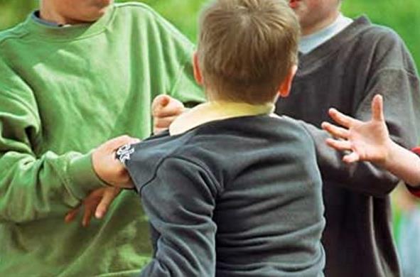 66%�����뱻���������75%�o���[Ó����ĉ��|