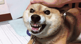 民進(jìn)黨年輕人支持率大崩盤:連人民最卑微的保障都做不到 民進(jìn)黨年輕人支持率大崩盤:連人民最卑微的保障都做不到