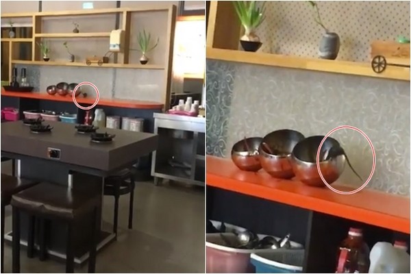 ������偵�����y�Z��̽�^���ɳ���u�����DƬ��Դ��Ę�V�W(w��ng)��