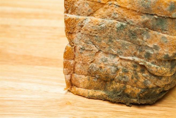 �²۴�����_���t(y��)�����˷����_�� �Ї@�����_�����t(y��)���i�����硱