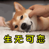 ه�����������񹦡��^�й����h ���M�h�Č������ܡ��M�е���