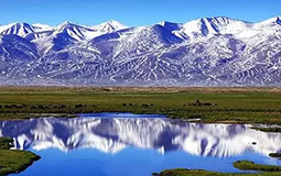 52̎�Ї������缉(j��)�z�a(ch��n)��ȫ���