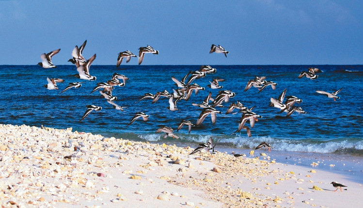 �_(t��i)����Ѳ�(du��)�T�Ĕz̫ƽ�u�����߼t �W(w��ng)�ѸЇ@������ƻ�